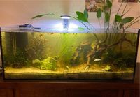 Aquarium 100x40x40 mit Heizstab Thüringen - Kahla Vorschau