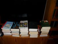 155 Bücher gebunden und als Taschenbuch, verschiedene Autoren Bochum - Bochum-Süd Vorschau