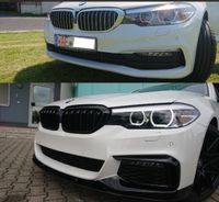 BMW G30-G31 kühler Grill Niedersachsen - Celle Vorschau