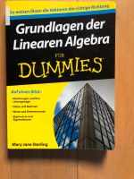 Grundlagen der linearen Algebra für Dummies Bayern - Bad Endorf Vorschau