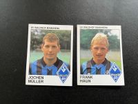 Panini Sticker SV Waldhof Mannheim 90 Mecklenburg-Vorpommern - Neubrandenburg Vorschau