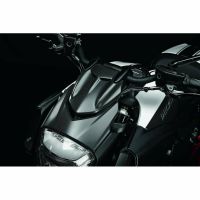 Ducati Diavel Scheinwerfer-Cover Carbon UVP 287€ Baden-Württemberg - Waldshut-Tiengen Vorschau