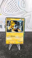 Pokemon Karte Raikou Promo Nordrhein-Westfalen - Haltern am See Vorschau