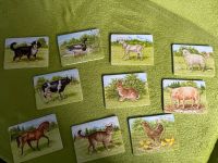 Ravensburger erstes Puzzle Tiere Bauernhof Thüringen - Utzberg Vorschau