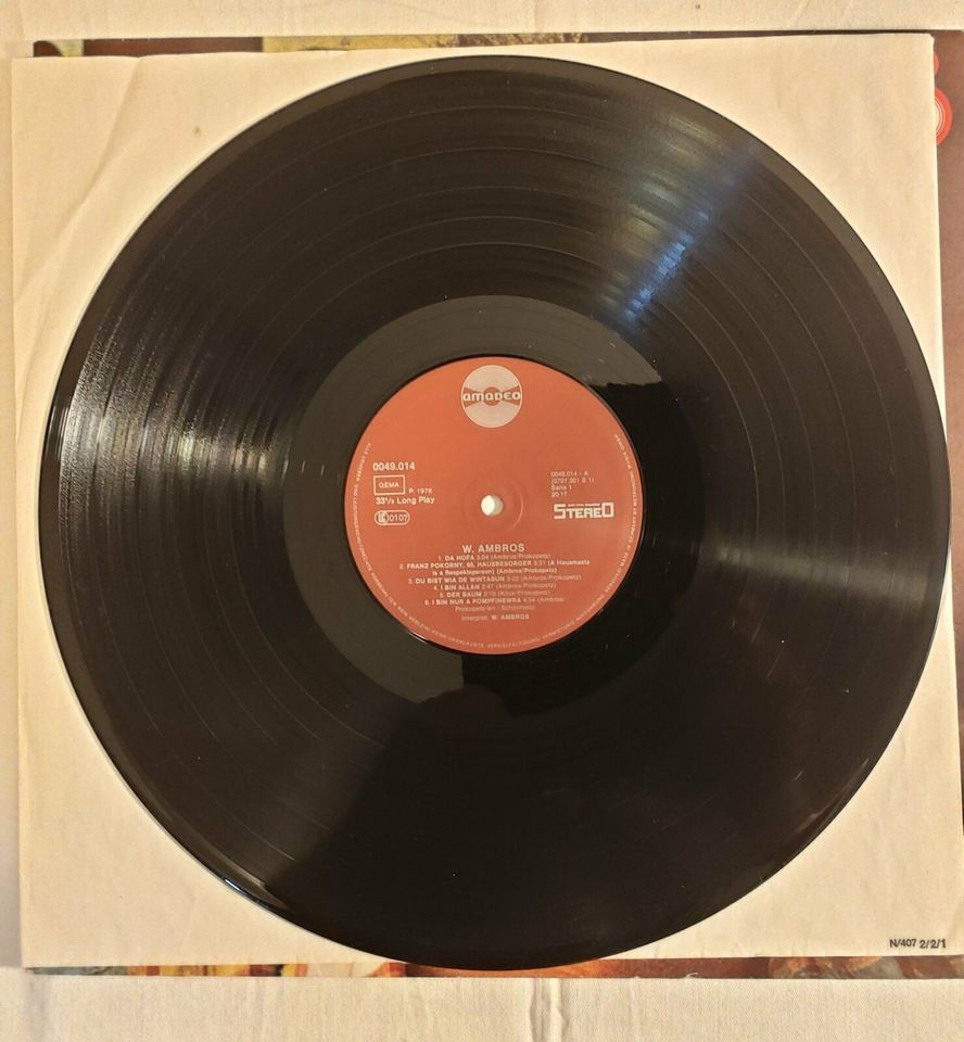 Wolfgang Ambros Schallplatte Vinyl LP in Hofkirchen