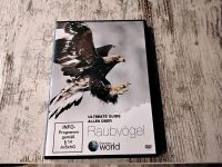 Raubvögel DVD Saarland - Schmelz Vorschau
