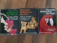 3 Bände Das große Bilderlexikon der Pflanzen Tiere Vögel Bertelsm Eimsbüttel - Hamburg Niendorf Vorschau
