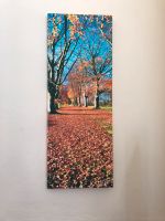Herbstbild 122 x 46 cm von Mike Sullivan / Bild Natur Landschaft Niedersachsen - Neustadt am Rübenberge Vorschau