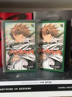 Tsubasa Reservoir Chronicle 28 manga Schleswig-Holstein - Rendsburg Vorschau