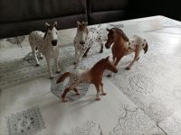 Schleich Pferde, Fohlen, Stute, 2x Hengst, Knabstrupper Niedersachsen - Barßel Vorschau