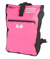 Kurier Rucksack Courier Bag Kuriertasche Backpack pink rosa Rheinland-Pfalz - Haßloch Vorschau