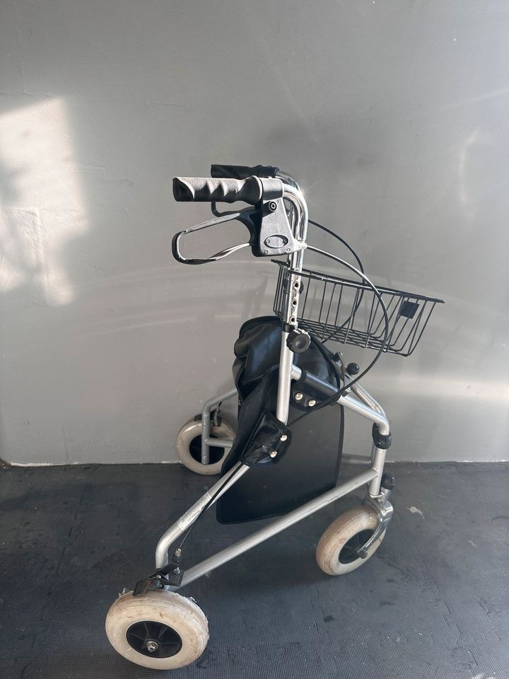 Rollator Reise-Rollator LR-10 in Rethwisch