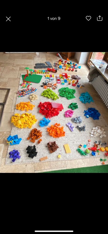 Lego Duplo XXL Konvolut mit Zoo, Zug & Schienen und vieles mehr in Hardebek