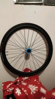 Carbon Laufradsatz - BMC - DT Swiss - 38cm Disc Hessen - Gelnhausen Vorschau