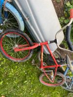 Retro BMX Fahrrad Rheinland-Pfalz - Kelberg Vorschau