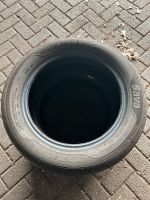 205/55R16 Sommerreifen Sava Nordrhein-Westfalen - Bocholt Vorschau