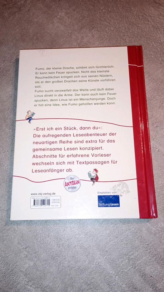 Ein Drachenfreund für Linus Erstlesebuch in Dürnau