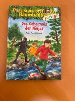 Das magische Baumhaus junior - Das Geheimnis der Ninjas Rheinland-Pfalz - Hennweiler Vorschau