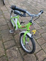 Puky Fahrrad grün 16 zoll kinderfahrrad Nordrhein-Westfalen - Verl Vorschau