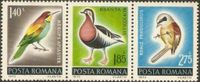 Rumänien 3106-3108 ** Tiere Vögel Bienenfresser Rothalsgans Meise Nordrhein-Westfalen - Kamen Vorschau