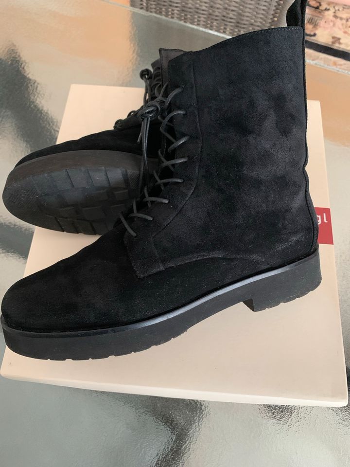 Högl Stiefelette, Challenger, Schwarz, 37.5 EU in Ehningen