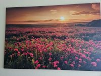 Leinwandbild Sommerwiese Mohnblumen beim blühen auf Feld (Mohnblu Rheinland-Pfalz - Holler Vorschau