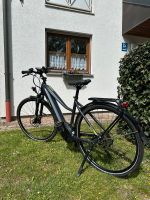 BBF Basel Elektrofahrrad 28 Zoll Bosch *NEU* München - Trudering-Riem Vorschau