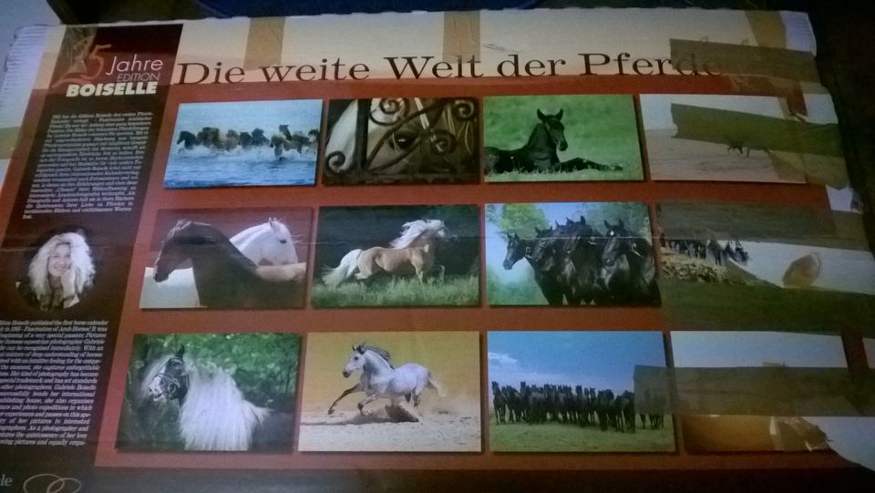 Pferde Foto Kalender großformatig alte Jahrgänge in Oranienburg