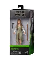 ✅ Star Wars Black Series - Princess Leia (Ewok Village) NEU & OVP Bayern - Grafenrheinfeld Vorschau