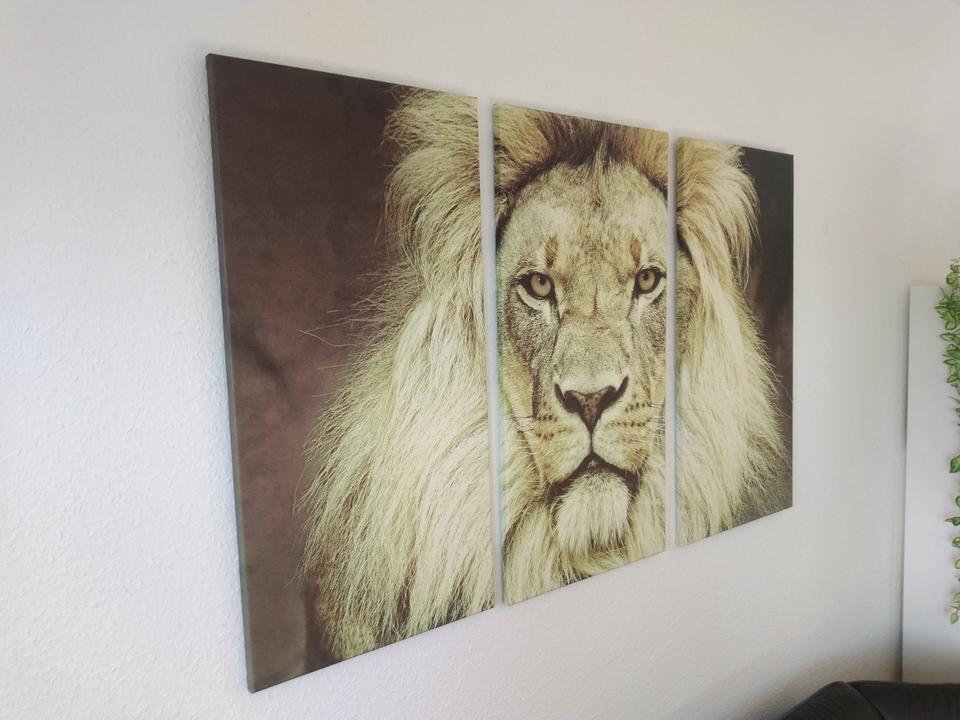 Wandbild Löwe Löwenkopf Leinwand dreiteilig Triptychon in Lilienthal