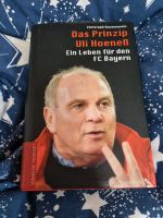 Das Prinzip Uli Hoeneß Bayern - Abensberg Vorschau