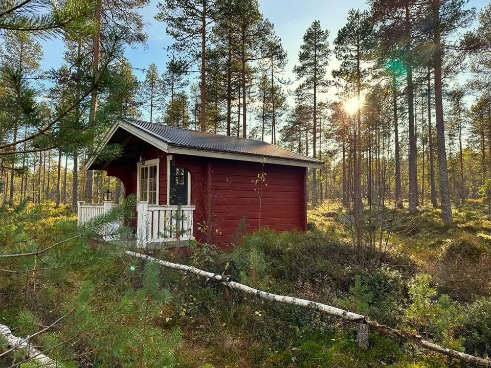 Mitten in der Natur in Schweden in einer Hütte vom 14.-20.07.2024 in Maikammer