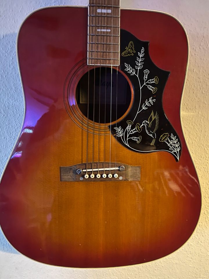 Maya F338H Hummingbird Dreadnought Gitarre 70er MIJ Made in Japan in Templin