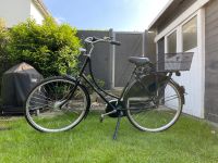 Fahrrad Gazelle Classic LTD Nordrhein-Westfalen - Hürth Vorschau