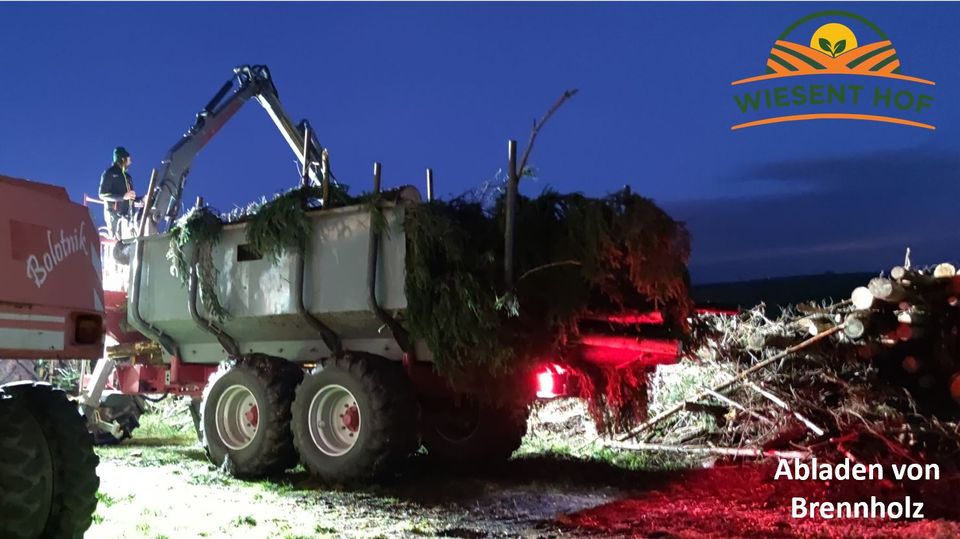 Dienstleistung Holzrücken, Holztransport, Rückewagen, Seilwinde in Eschenbach