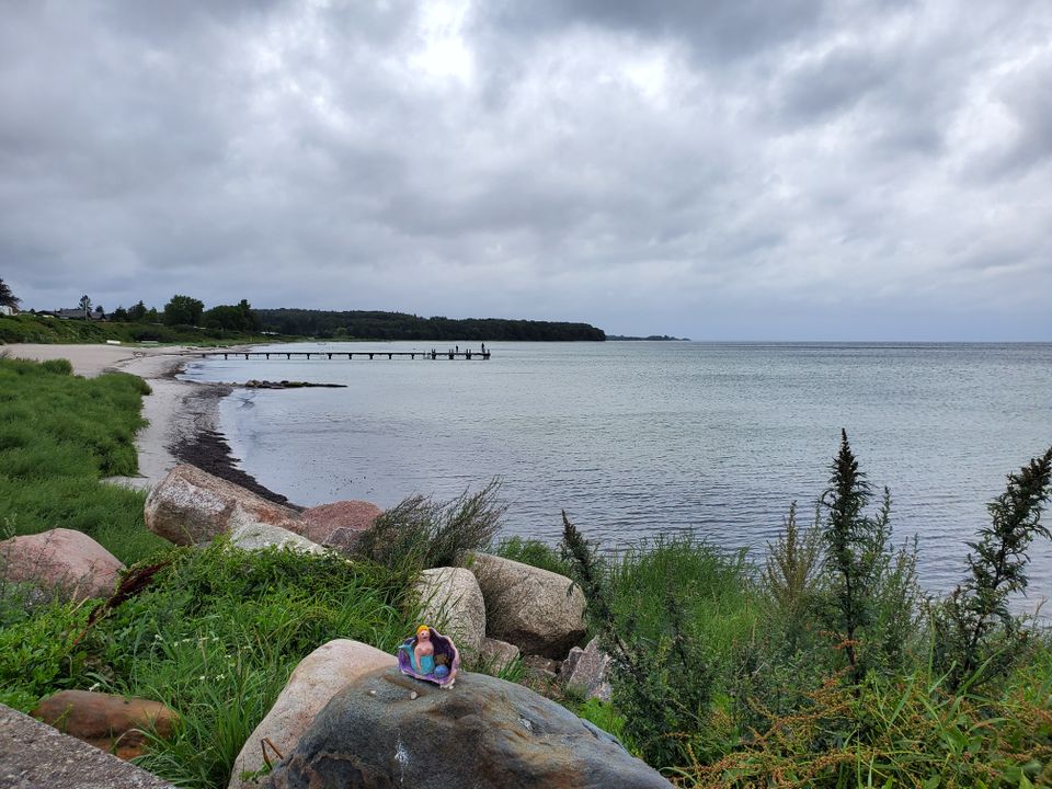 Dänemark, Ostsee, Insel Fyn, Lundeborg direkt am Meer in Solms