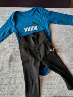 Puma 2 Teiler 68 Rheinland-Pfalz - Mainz Vorschau