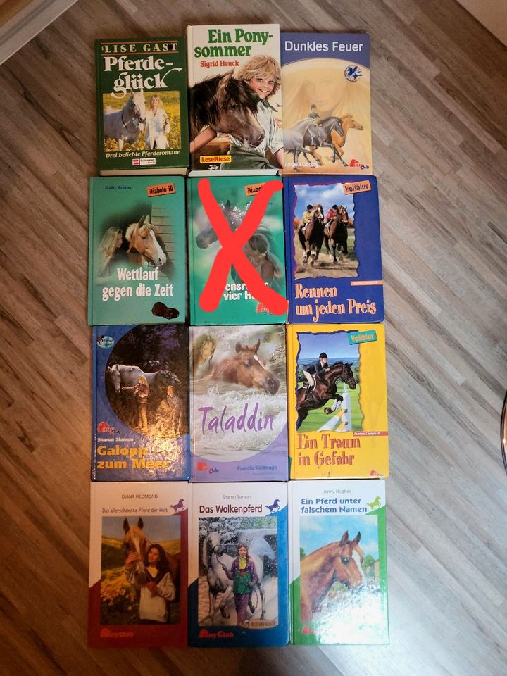 11 Stück Bücher Pony Club Pferdegeschichten Buch Taschenbuch Pfer in Morbach