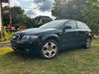 Audi A3 Sportback 2,0 TDI Bj. 2008 Brandenburg - Ludwigsfelde Vorschau