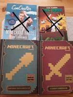 Minecraft- Bücher Bayern - Sailauf Vorschau