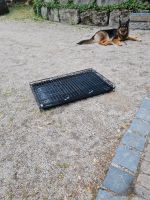 Hundetransportbox Bayern - Burgthann  Vorschau