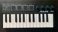 ALESIS Vmini 25 Tasten Keyboard Niedersachsen - Delmenhorst Vorschau