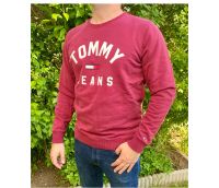 Tommy Hilfiger Jeans Pullover Sweater Herren Hessen - Darmstadt Vorschau