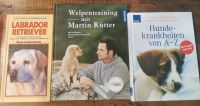 Ratgeber Bücher Hunde - Welpen - Labrador Retriever Nordrhein-Westfalen - Troisdorf Vorschau