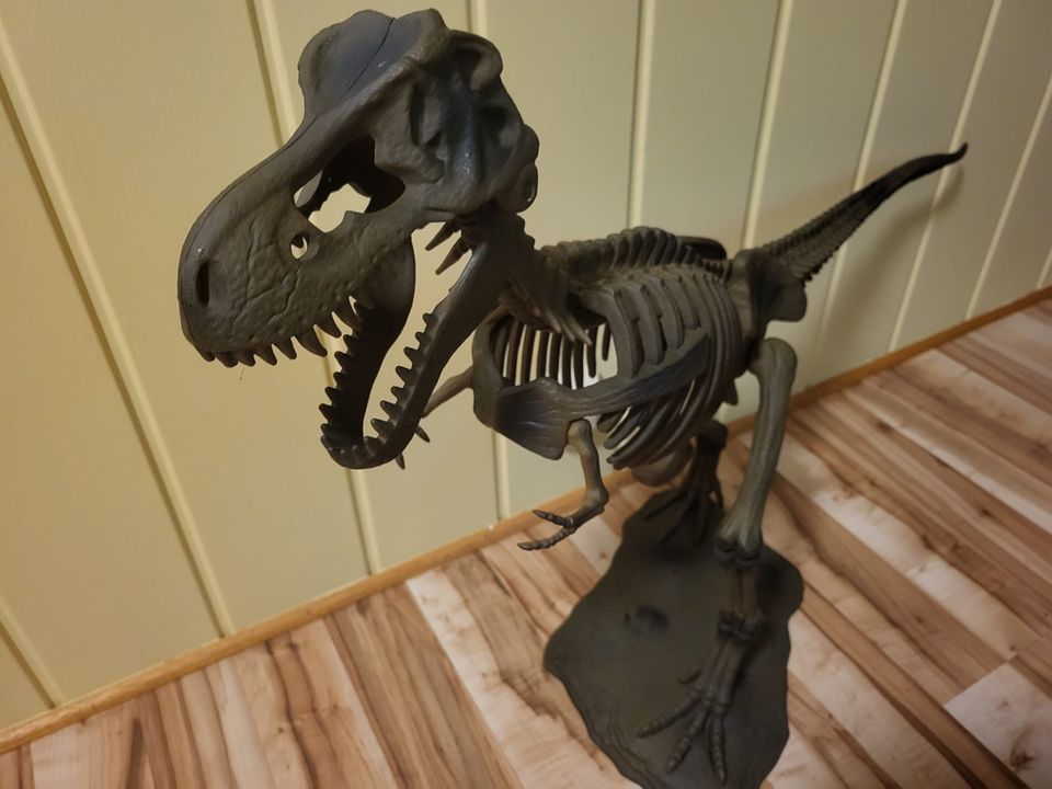 COG XXL T-Rex Dinosaurier Skelett Modell Rarität in Diez