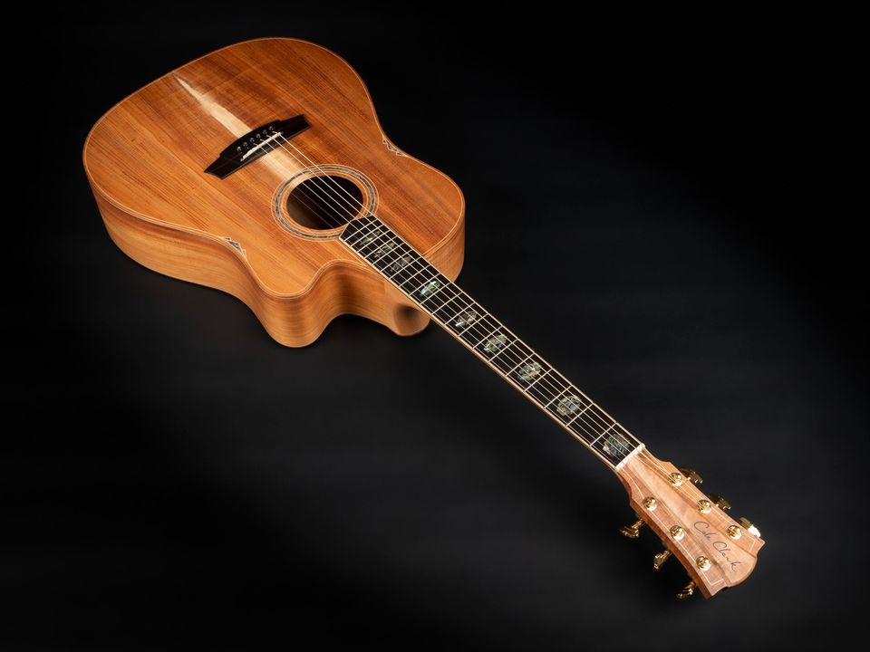 2022 Cole Clark FL3EC-BLBL Tasmanian Blackwood Abalone Pickup in Niebüll