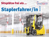 Mitarbeiter (m/w/d) Staplerfahrer - in Landsberg Sachsen-Anhalt - Landsberg (Saalekreis) Vorschau