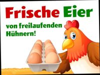 Freilandeier, befruchtete Eier, Grünleger, Brahmahühner Nordrhein-Westfalen - Bünde Vorschau