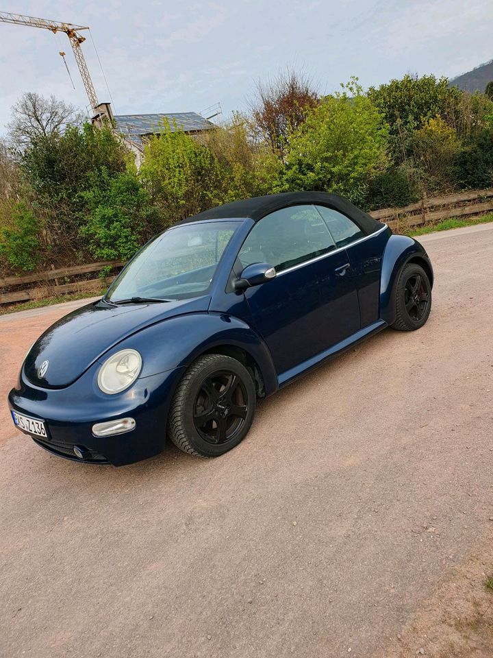 VW New Beetle Cabriolet 1.6 in Traben-Trarbach