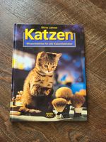 Katzen: Wissenswertes für alle Katzenliebhaber Rheinland-Pfalz - Schweich Vorschau
